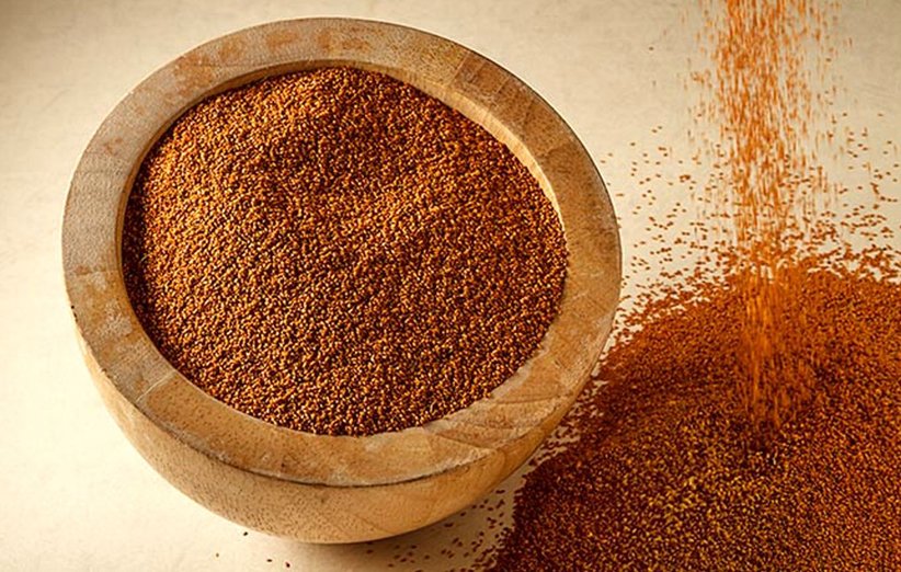 Iranian Flixweed (Khakshir) Export